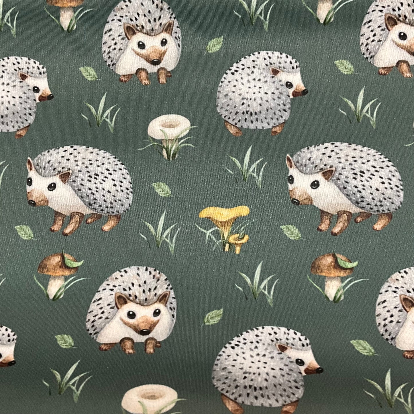 Hedgehogs on Green