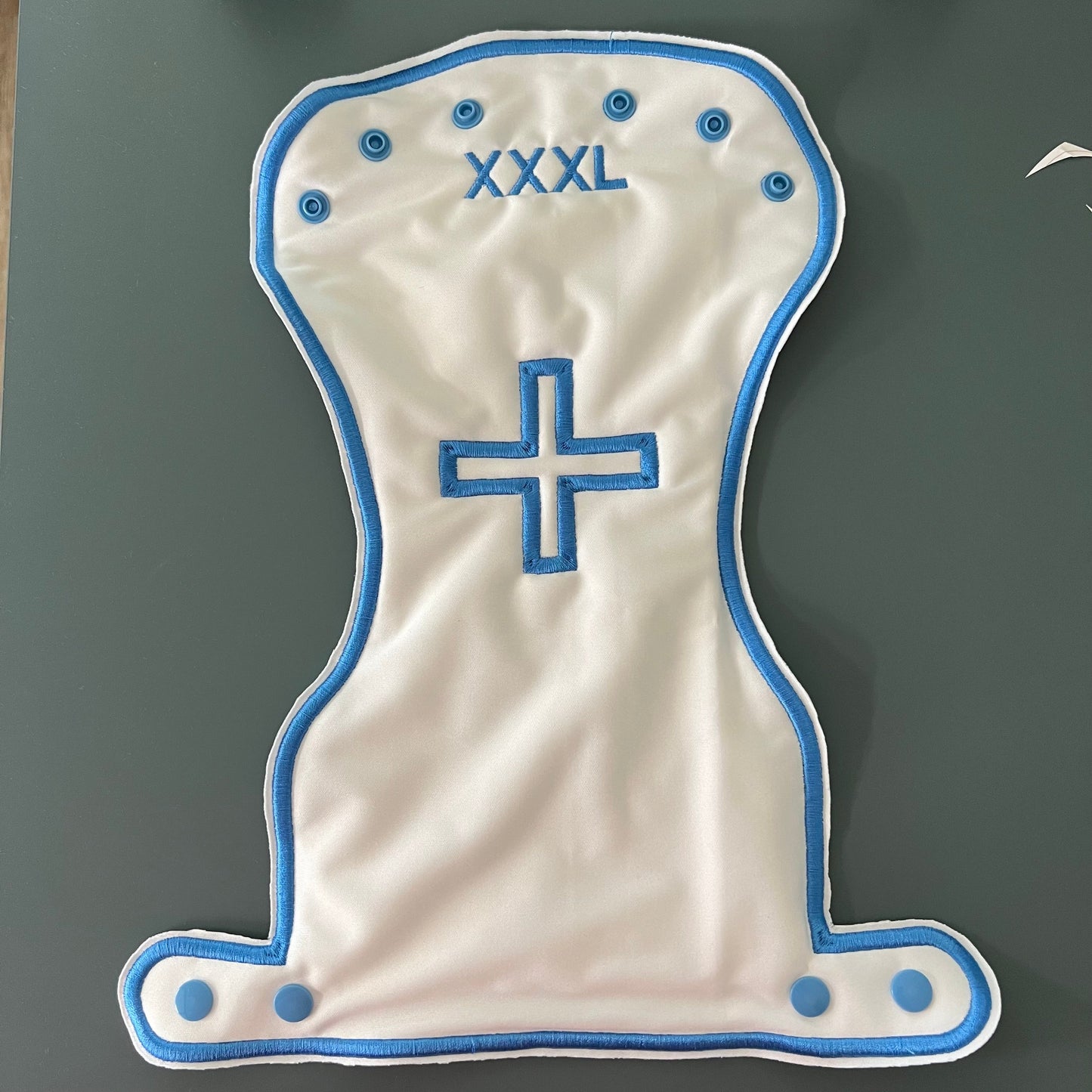 Winter Berries and Pine Cones