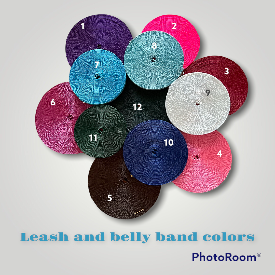 Leash - Various Options BELLS ARE BACKORDERED