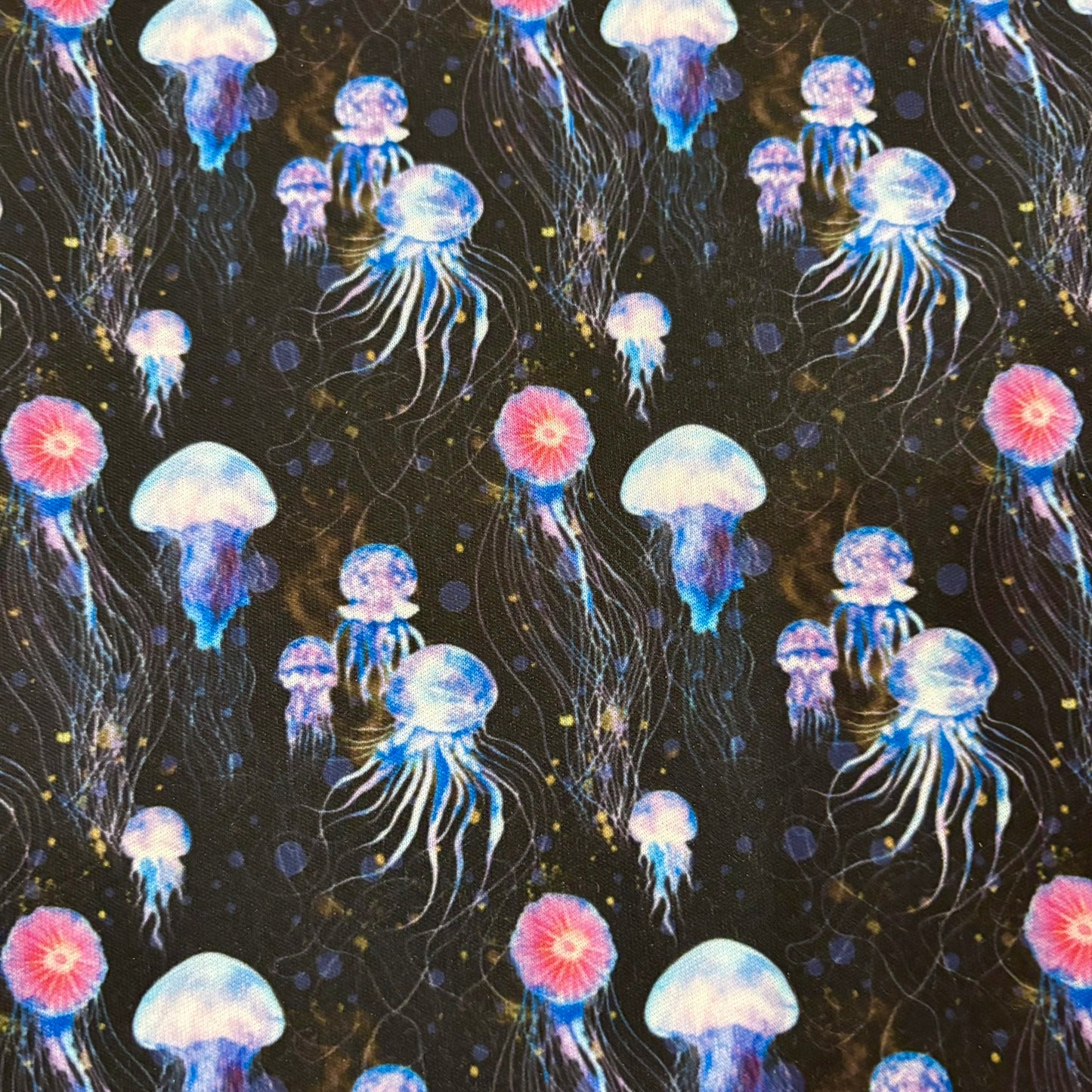 Jelly Fish