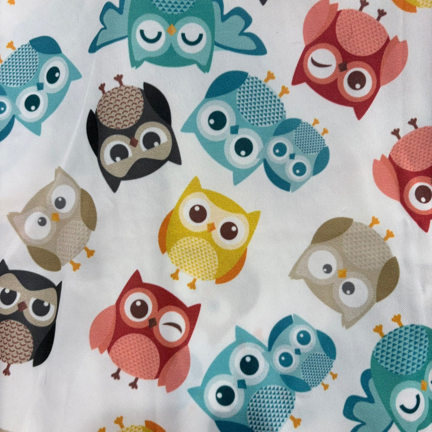 Owls