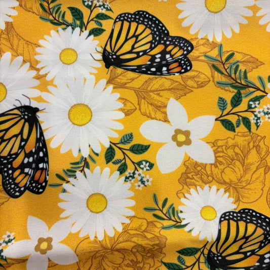 Daisies and Butterflies