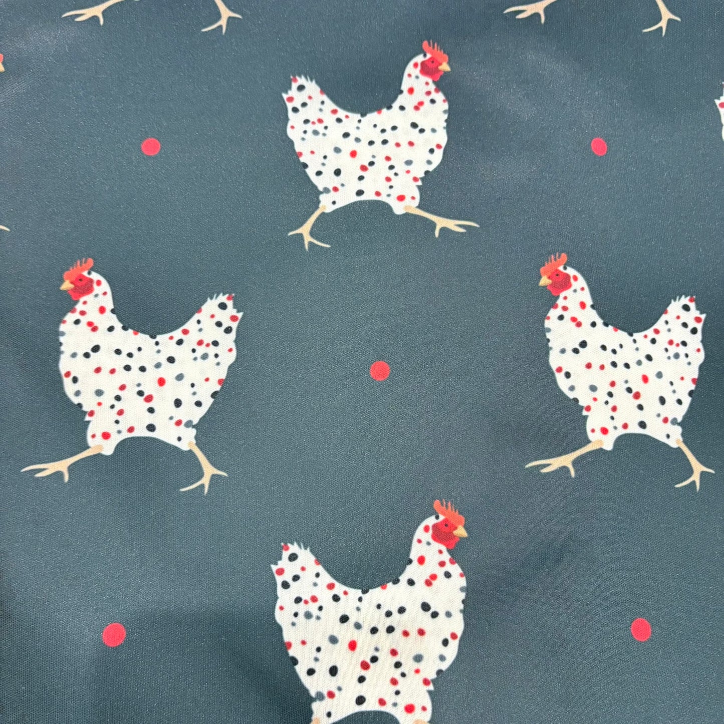 Polka Dot Chicken