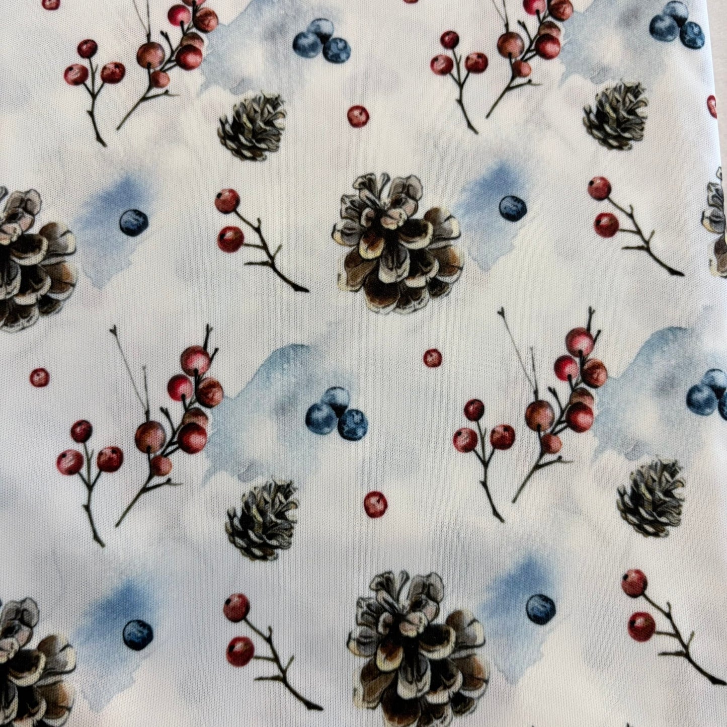Winter Berries and Pine Cones
