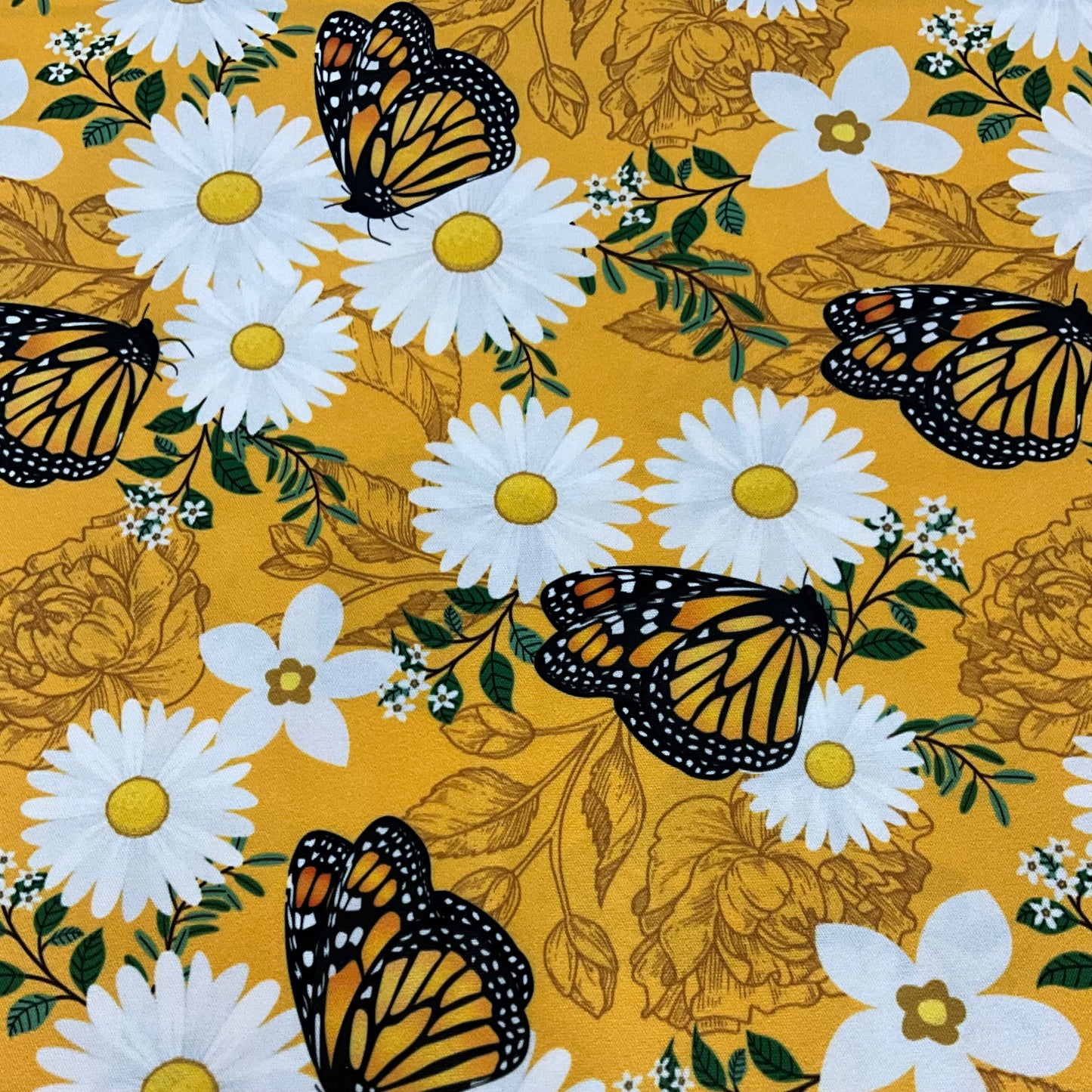 Daisies and Butterflies
